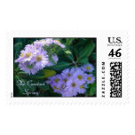 The Constant Spring postage