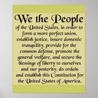 Essay about the constitution of the united states