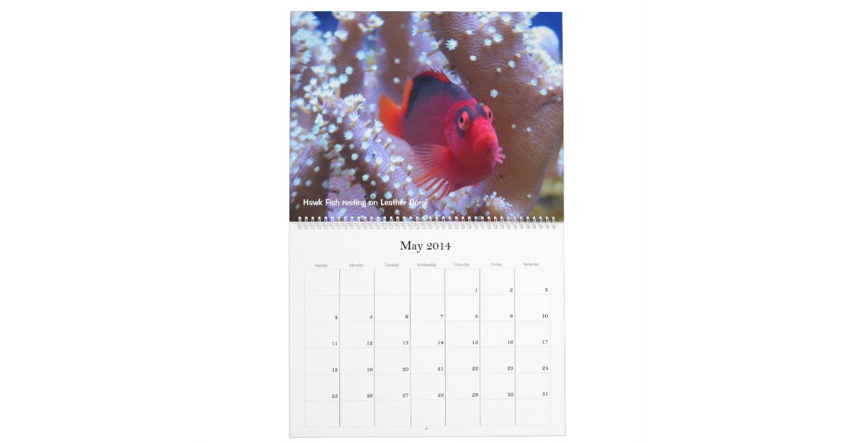 The Coral Reef Calendar Zazzle