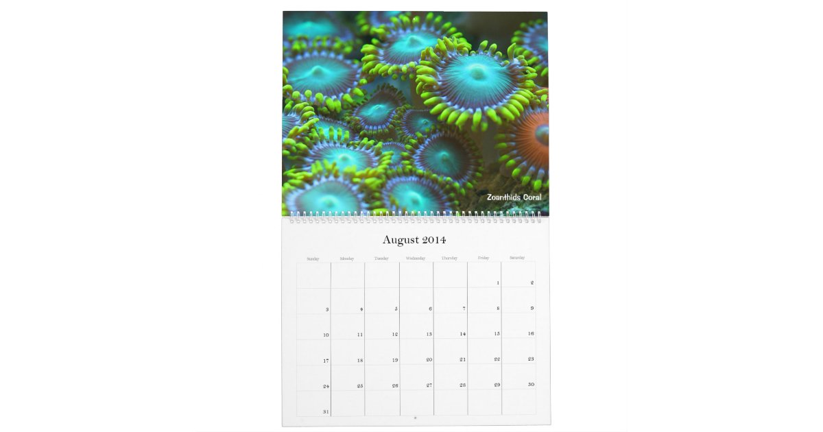 The Coral Reef Calendar | Zazzle