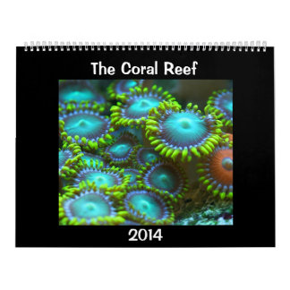 Coral Reef Calendars Zazzle