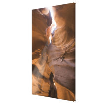 The Corkscrew in Upper Antelope Canyon, Navajo Stretched Canvas Prints