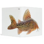 The Corydoras Sterbai Catfish Binder The Corydoras Sterbai Catfish Binder