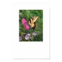 The Cosmos in a Cosmos posters by disgustedcats The Cosmos in a Cosmos posters