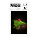 The Costa Rican postage by Katbody10 The Costa Rican postage
