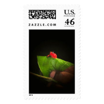 The Costa Rican postage by Katbody10 The Costa Rican postage