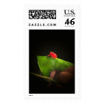The Costa Rican Postage Stamp