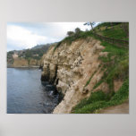 The Cove at the Cave from the Clam Print