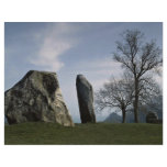 The Cove, Avebury, Wiltshire, England Europe Flyers