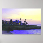 The Cove Posters