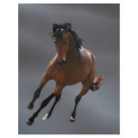 The cowboy horse called Riboking Custom Letterhead