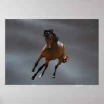 The cowboy horse called Riboking Posters