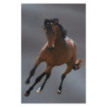 The cowboy horse called Riboking Stationery