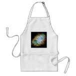 The Crab Nebula Apron