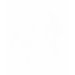 Ladies Twofer Sheer (Fitted)