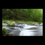 The Creek Print