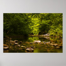 The Creek Posters