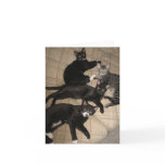 The Crew Blank Note Card