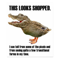 The Crocoduck Deception posters