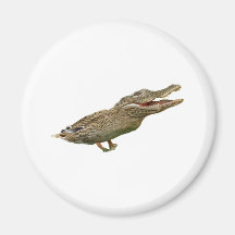 The Crocoduck Fridge Magnets