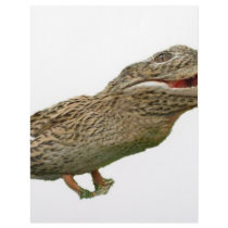 The Crocoduck Letterhead Template