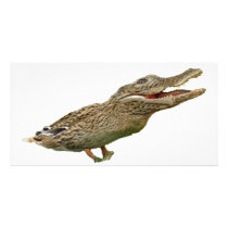 The Crocoduck Customized Photo Card