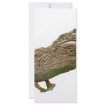 The Crocoduck Rack Card