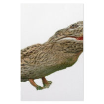 The Crocoduck Customized Stationery