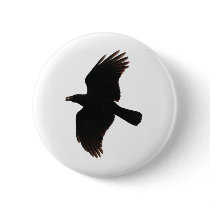The Crow By Poe buttons