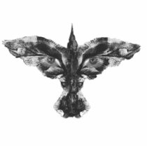 The Crow photo sculptures