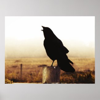 The Crow print