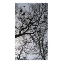 The Crows Small Photo Card Business Card
