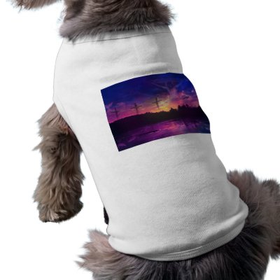 The Crucifixion of Jesus Christ Pet Shirt by KahunaLuna
