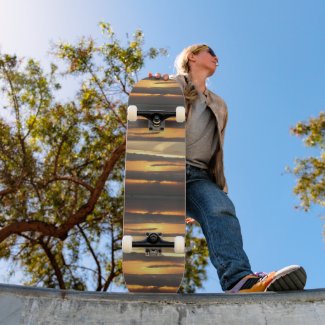 THE CRUISER skateboard
