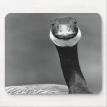 The Curious Goose Mousepad mousepads