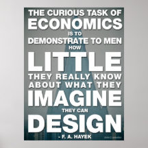 The Curious Task of Economics Poster