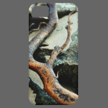 The Curving Branch iPhone Case casemate cases