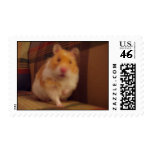 The Cute Hamster postage