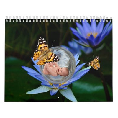 The cutest baby fantasy 2013 wall calendar The cutest baby fantasy 2013 wall calendar