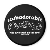 Cutest Fish on the Reef 