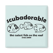 Cutest Fish on the Reef 