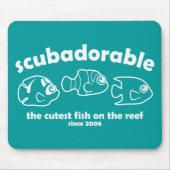Cutest Fish on the Reef 
