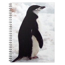 The Cutest Penguin, Ever Note Book