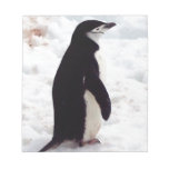 The Cutest Penguin, Ever Note Pads