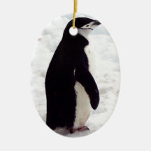 The Cutest Penguin, Ever Ornament