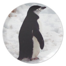 The Cutest Penguin, Ever Party Plate