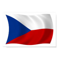 The Czech Republic Flag Poster Print by LivingFlags2 The Czech Republic Flag Poster Print