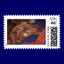 The Dachshund Attitude stamps