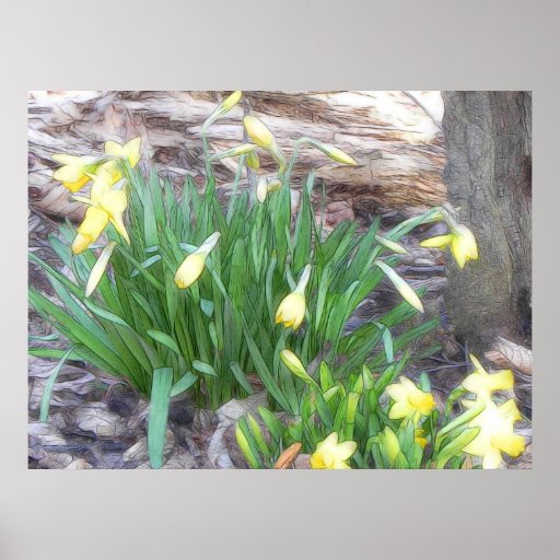 The Daffodil Patch Posters