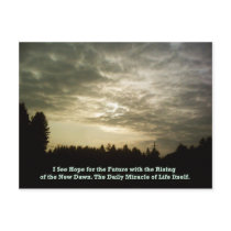 The Daily Miracle postcard by gregvan The Daily Miracle postcard